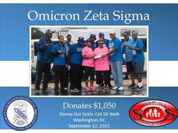 Click to view album: 2015 Stomp Out Sickle Cell Walk